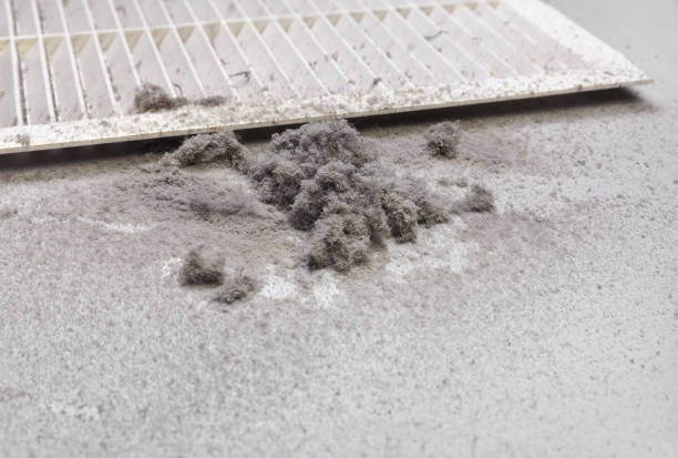 Best Local Air Duct Cleaning Services  in Newton, MS