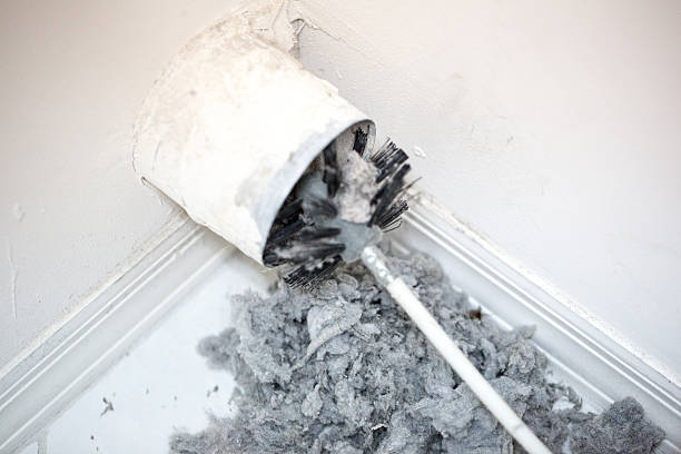 Best Air Duct Cleaning Near Me  in Newton, MS